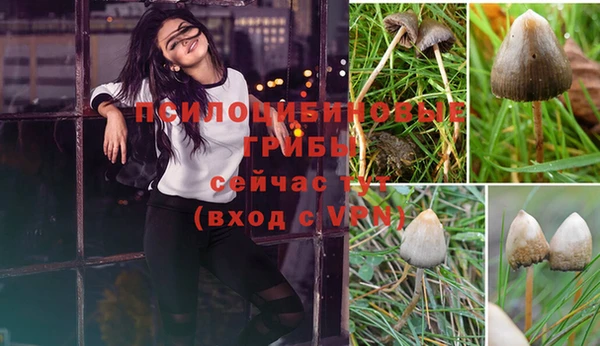 MESCALINE Балахна