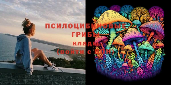 бутират Баксан