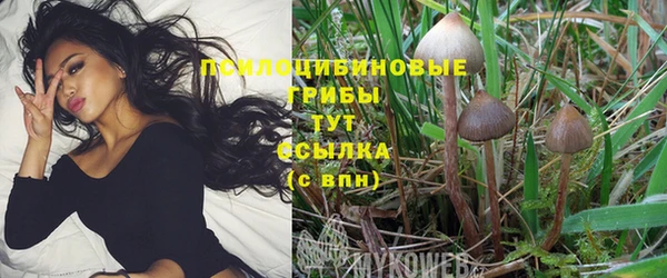 эйфоретик Саяногорск
