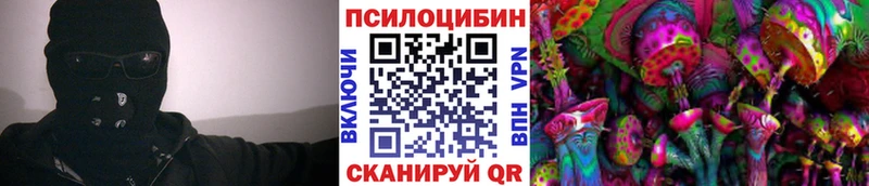 Галлюциногенные грибы MAGIC MUSHROOMS  где найти   Балтийск 